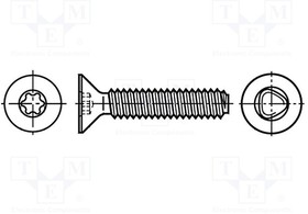 B4X20/BN11288, Винт; 4x20; Головка: потайная; Torx®; сталь; цинк; Размер: TX20