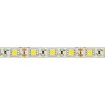 Лента светодиодная SMD5050-60 LED/м-IP65-12 В-14,4 Вт/м-6000 К блистер Упак ...