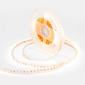 Фото 1/10 R00-378 Светодиодная лента 24В, 5,4Вт/м, smd2216, 120д/м, IP20, 480Лм/м, подложка 4мм, 5м, 3000К.