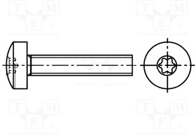 B5X20/BN30503, Винт, M5x20, Головка цилиндрическая, Шлиц Torx, сталь, цинк, TX25