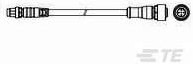 Фото 1/2 2273108-5, Sensor Cables / Actuator Cables M8 strght plug to M12 strgt socket AA