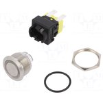 PS5-210QH-BUD-0RAC, Переключатель: антивандальный, Пол: 2, DPDT, 16A/250ВAC, IP65, PS5