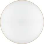 Светильник потолочный светодиодный ЭРА Классик с ДУ Relict 48 Pult SPB-6-60-RC ...