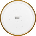 Светильник потолочный светодиодный ЭРА Классик с ДУ Relict 48 Pult SPB-6-60-RC ...