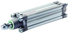 PRA/802050/M/25, ISOline Cylinder 50mmx25