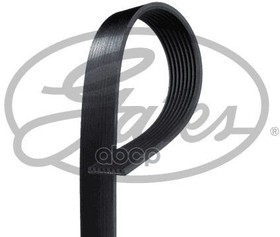 Фото 1/3 8PK2410, Ремень п/клин. TO L.Cruiser 200 4.8 V8 12-