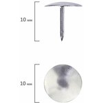 Кнопки канцелярские STAFF "Manager", металлические, никелированные, 10 мм ...