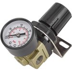 Регулятор давления воздуха 1/4", 0-10 bar, рабочая температура 5-60° F-AR2000-02