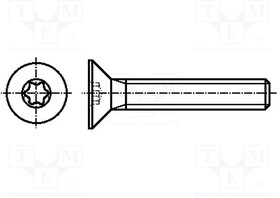 B2X4/BN20039, Винт, M2x4, Головка потайная, Torx, кислотостойкая сталь А4, TX06