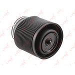 G41009R, Пневмоэлемент подвески | зад прав |