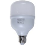 LB-65 Лампа светодиодная 25W 230V E27 6400K 25887