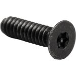 1550MS50TBK, Flat Stainless Steel Tamper Proof Security Screw, M3.5 x 12mm