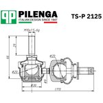 TSP2125, TSP2125_тяга стабилизатора заднего!\ Ford Focus/C-Max 03 , Mazda 3 04