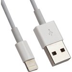 Блок питания (сетевой адаптер) с USB выходом + кабель для Apple 8 pin 5V 1A ...