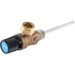 PTEM550753, Reliance 10bar Temperature and Pressure Relief Valve With Male BSP ...