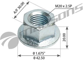 Фото 1/3 750.010, Гайка IVECO кронштейна амортизатора заднего (М20х2.5мм) MANSONS