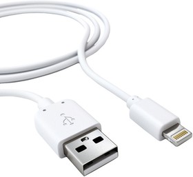 Фото 1/6 Кабель USB 2.0 - Lightning, М/М, 2 м, Red Line, бел, УТ000009513