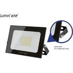 Прожектор LED Lumin`arte LFL-50W/05 50Вт 5700K 3750лм черный IP65, 1/30