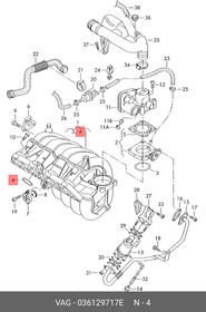 Фото 1/3 036129717E, Прокладка впускного коллектора 1.4 16V - 4шт на мотор AUDI / SEAT/SKODA/VW