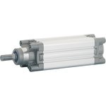 ISO Standard Cylinder - 100mm Bore, 125mm Stroke, Double Acting