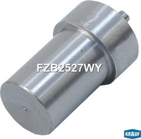 Фото 1/3 FZB2527WY, Распылитель форсунки