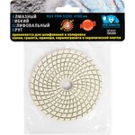 Алмазный гибкий шлифовальный круг 100 мм мокрая шлифовка зерно 300 150300