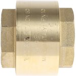 Brass Single Check Valve, BSPP 2in, 12 bar