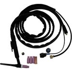 Инверторная установка TIG-203P AC/DC Digital 220В НП000001034