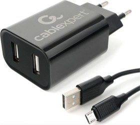 Фото 1/7 Адаптер питания USB 2 порта, 2.4A, черный + кабель 1м micro MP3A-PC-35