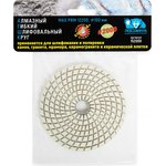 Алмазный гибкий шлифовальный круг (100 мм; зерно 2000) мокрая шлифовка 152000