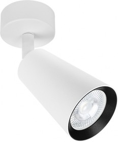 Фото 1/2 Arte Lamp A2352PL-1WH CINTURA Накладной спот GU10