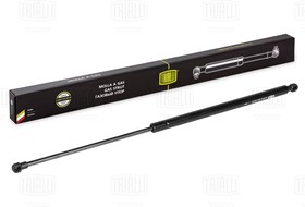 Фото 1/2 GS0902, Амортизатор RENAULT Duster (10-) капота TRIALLI