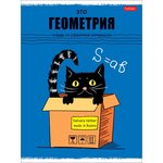 Тетрадь предметная А5,48л,Черный кот ГЕОМЕТРИЯ 073104