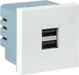 Фото 1/10 Розетка USB, сила тока 2.1 А без индикатора E2MR2-20USB-10