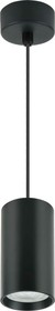 Фото 1/5 Подвесной светильник с цоколем GU10 D55хН100мм алюминий черный 21321