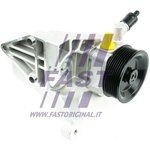 FT36216, Насос ГУР |\Fiat Ducato 244