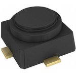 CE3512K2-C1, RF Mosfet 2 V 10 mA 12GHz 13.7dB 125mW 4-Micro-X