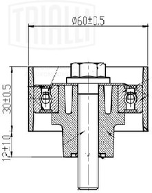 Фото 1/4 CM 3077, Ролик ГРМ Chery Tiggo T11 06-, FL 13- 1.6i/2.0i опорный Trialli