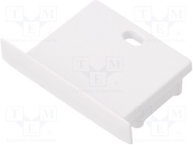 E4990001, Заглушка для профилей LED; белый; ABS; с отверстием; SмАRT-IN20
