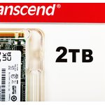 Накопитель SSD Transcend PCIe 3.0 x4 2TB TS2TMTE115S 115S M.2 2280 0.2 DWPD