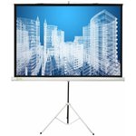 Экран Cactus Triscreen CS-PST-104x186, 186х104.4 см, 16:9, напольный черный