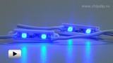 Смотреть видео: Светодиодный SMD модуль 2 диода 5050 Классик Миди синего свечения