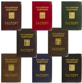 Фото 1/7 Обложка для паспорта, металлический шильд с гербом, ПВХ, ассорти, STAFF, 237579