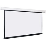 Экран Lumien Eco Control LEC-100112, 300х198 см, 16:9, настенно-потолочный белый