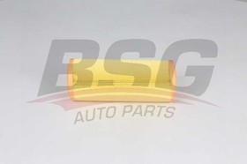 bsg25-135-004, Фильтр - воздушный
