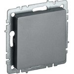 BRITE Plug with caliper MZ10-BrS steel IEK
