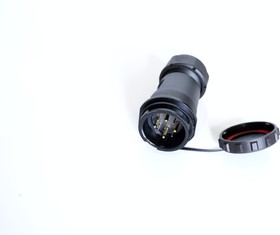 Circular Connector, 12 Contacts, Cable Mount, Socket, Female, IP67
