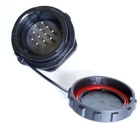 Circular Connector, 12 Contacts, Panel Mount, Plug, Male, IP67