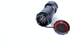 Circular Connector, 7 Contacts, Cable Mount, Plug, Male, IP67