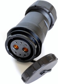 Circular Connector, 8 Contacts, Cable Mount, Socket, Female, IP67